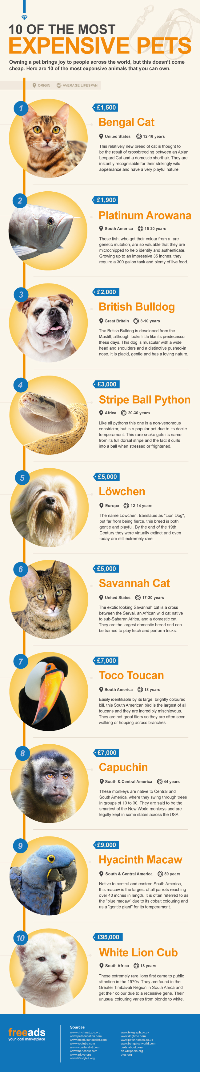 10 of the most expensive pets