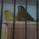 Thetwo ofus