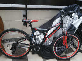 diamondback scree 1.0