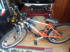moana bike halfords