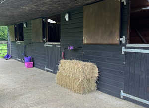 FULL OR PART LIVERY AVAILABLE, GRASS LIVERY CONSIDERED FOR SMALL PONIES/DONKEYS
