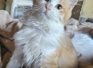 Delicious Soup Needs A Home