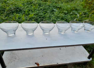 Set of 6 Glass Bowls