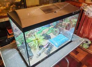 LARGE FISH TANK LIKE NEW WITH ACCESSORIES