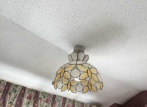 light shade with delicate butterflies around the rim.