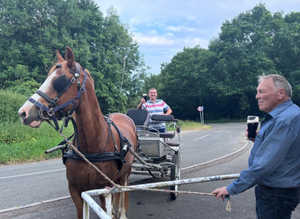 Sidney a very flashy Welsh D driving pony