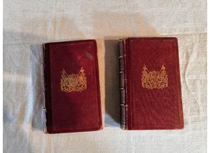 Antique Book, 1885 Sans Famille (1 & 2/Tome Premier & Second), H Malot, E. Dentu