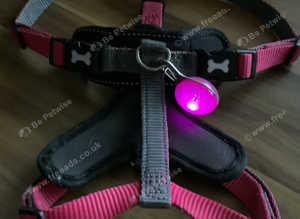 Pets at home control harness