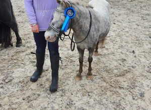 Mini Mare