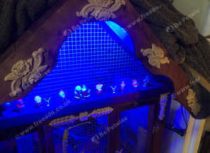 One tiny dove with cage