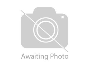 Mature male Carer available.