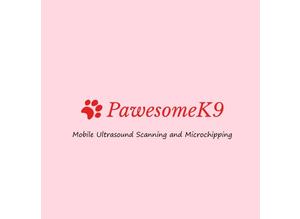 Pawesomek9 the mobile ultrasound scanning and microchipping service you can trust