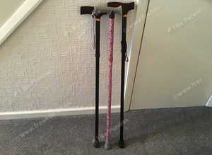 Three Walking Sticks