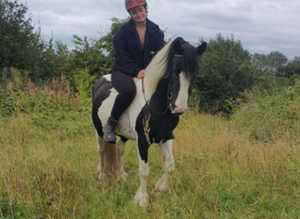 Open to Sensible Offers! Once-in-a Lifetime Sound Backed Future Show/Competition Pony, Allrounder, Jumper, Happy Hacker, Cross Country Pony or Ride &
