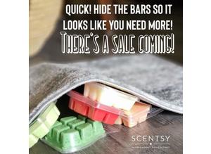 Scentsy FLASH SALE - Upto 70% OFF