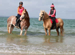 Fantastic horse riding opportunity in Arborfield, Berkshire