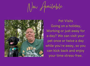 Pets transport