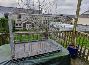 Large dog crate