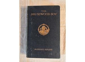 Antique Book, 1910, The Brushwood Boy, Rudyard Kipling, Illustrated, Macmillan Co