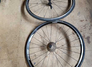 Bike rims and tyres