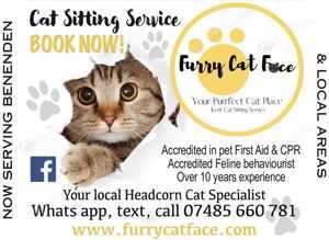 Furry Cat Face - Your Local Feline Specialists, Cat Sitting, Feline Behaviourist