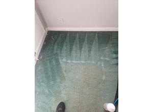 Carpet cleaning by M.B Complete Cleaning
