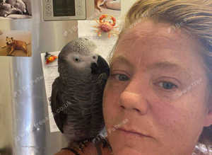 Parots please don't let them go to anyone