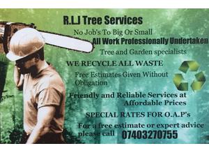 RLJ Tree Services
