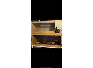 Medium and large viv comes with uvb heat and basking bulbs and timers