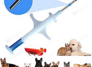 Microchipping for all your small pets now a legal requirement