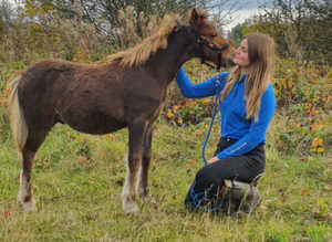 Family's Adorable Dream Foal - Future Kids Riding Pony, Lead Rein, Companion &/or Therapy Pet Project.