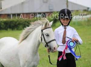 RHYDYFELIN STAR GIRL kids pony