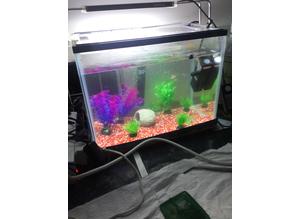 Free small fish tank