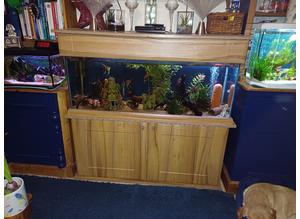 Large 250 Ltr Aquarium with Cabinet and Accessories