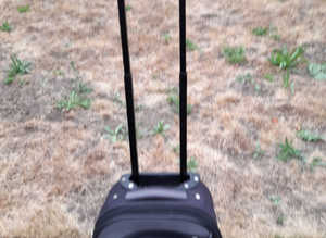 Black Small 5 Cities Trolley Luggage Case