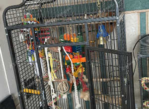LIBERTA VOYAGER ANTIQUE CAGE
