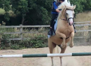 Rupert