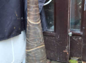 Large Long Thin Carved Wooden Bottle