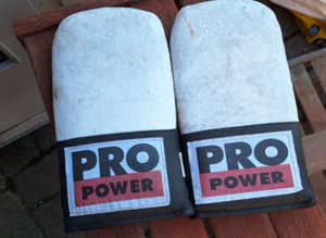 Pro Power Martial Arts Sparring Gloves