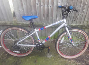 Reghlegh bike