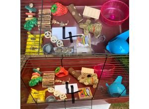 Alaska Hamster cage 80x50 and accessories
