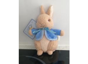 A Small Peter Rabbit Soft Toy.  This is Peter Rabbit Himself.