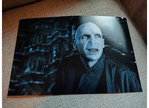 Genuine, Signed, 10"x8" Photo, Ralph Fiennes (Harry Potter - Lord Voldermort)