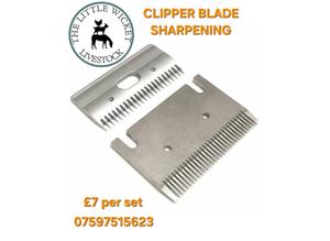 Clipper Blade Sharpening