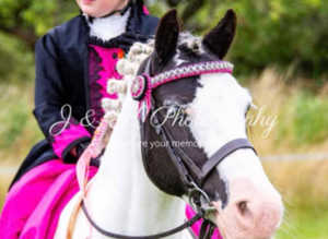 Lovely little cob