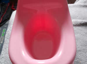 Little Girls Pink Potty