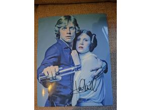 Genuine, Signed, 8"x10", Photo by/of Mark Hamill (Luke Skywalker Star Wars) +COA