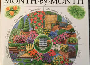The Patio Garden month by month by Michael Jefferson