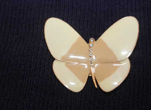 Butterfly Brooch with Magnetic Fix.Can be posted
