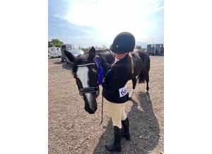 14.1hh looking for a sharer/part loan